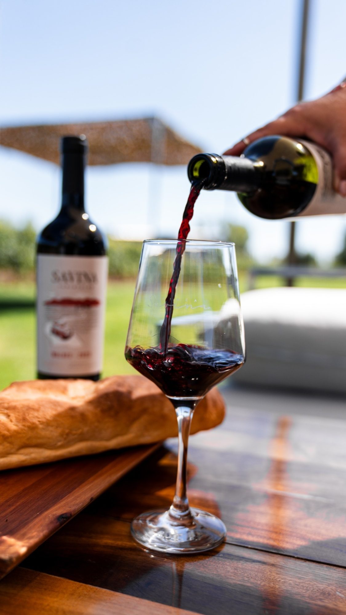 Savina Malbec - Imagen 3