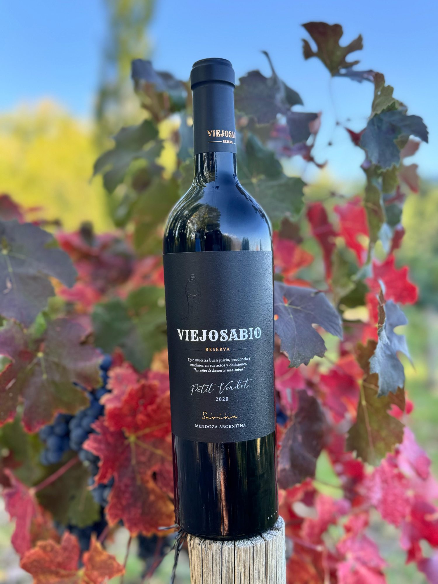 Viejo Sabio Petit Verdot Reserva - Imagen 3